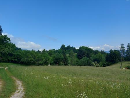 Kulturno popotovanje po Vorančevi poti (26)